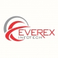 Everex Infotech