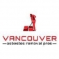 Vancouver Asbestos Removal Pros | Tsawwwassen