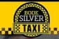 Book Silver Taxi