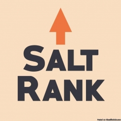 SALT RANK - Kansas City Digital Marketing Agency