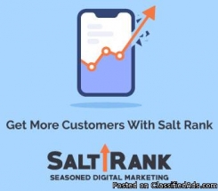 SALT RANK - Digital Marketing Agency in Kansas City