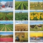 Agricultural Calendars