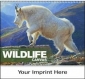 Animal & Wildlife Calendars