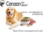 Canaan Pet Resort