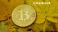 Exchange Bitcoin To Bank