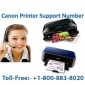 Canon Printer Support Number USA +1-800-883-8020