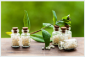 Homeopathy in Singapore