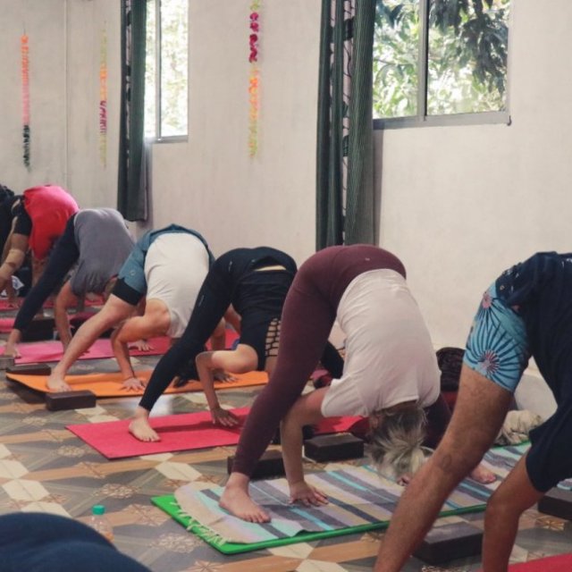 Yoga teacher training in Bali