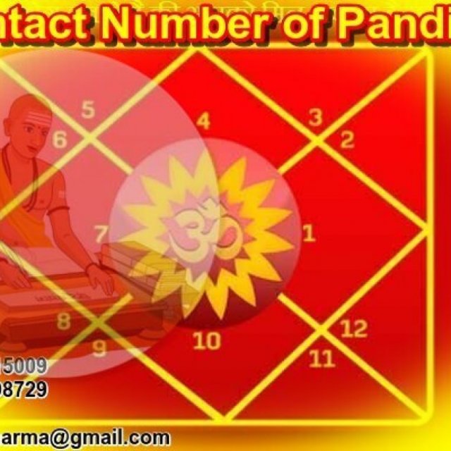 Contact Number of Best Astrologer Pandit Ji Online Free Advice