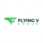 Flying V Group Digital Marketing