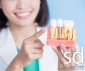 Sebastopol Dental